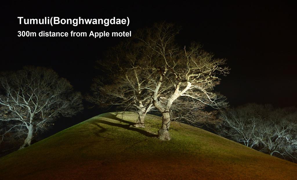 Apple House Motel Гиеонгджу Екстериор снимка